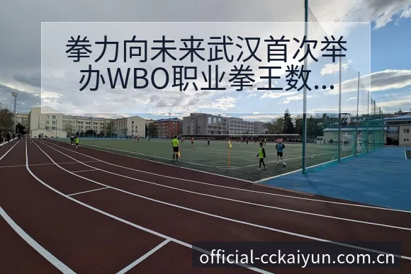 拳力向未来武汉首次举办WBO职业拳王数据对比与趋势观察战 - 开云APP