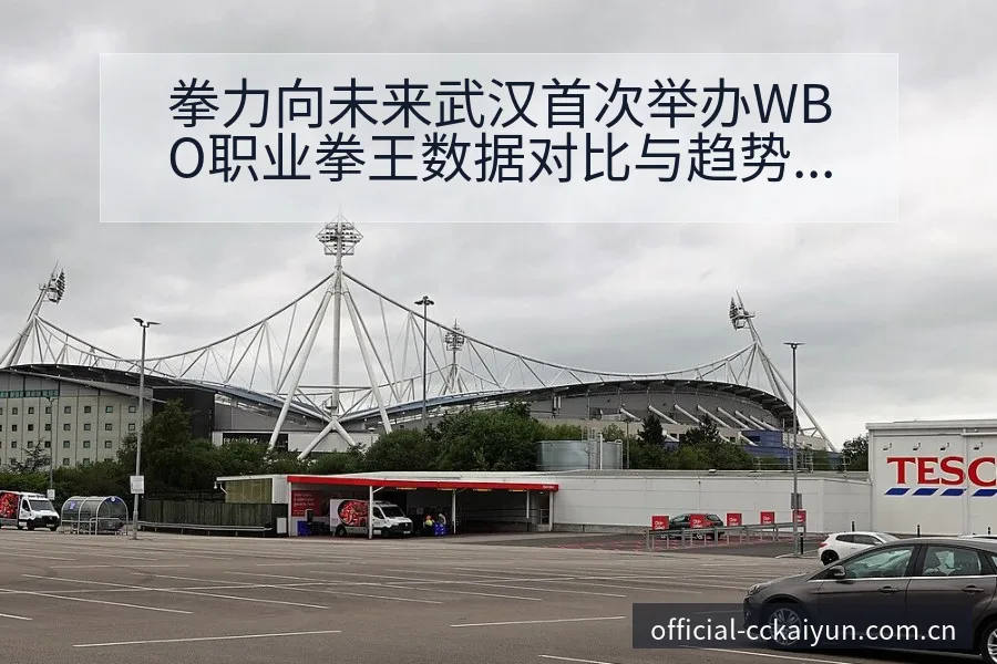 拳力向未来武汉首次举办WBO职业拳王数据对比与趋势观察战 - 开云APP