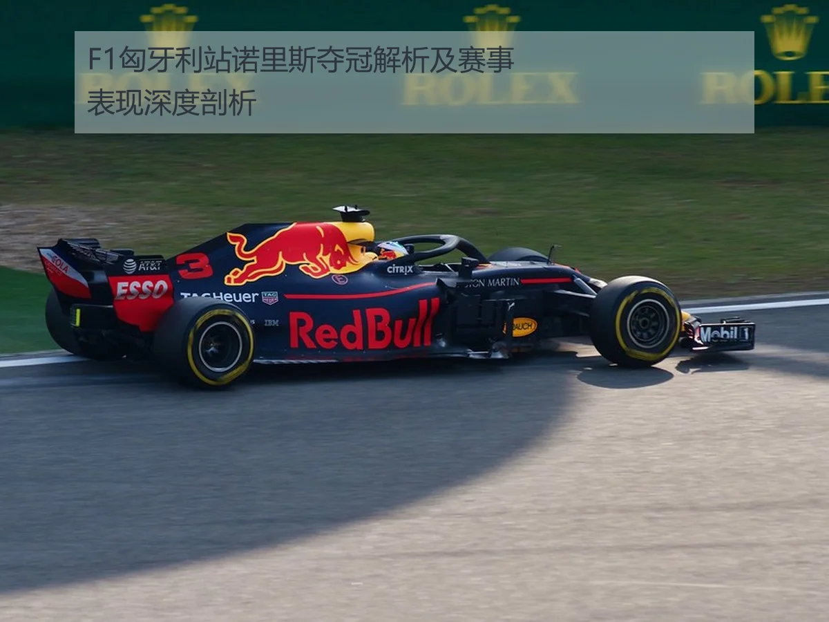 F1匈牙利站诺里斯夺冠解析及赛事表现深度剖析