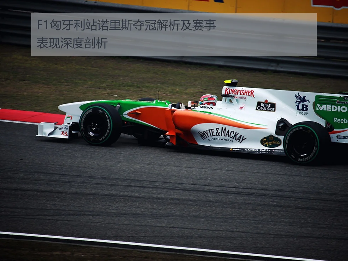 F1匈牙利站诺里斯夺冠解析及赛事表现深度剖析
